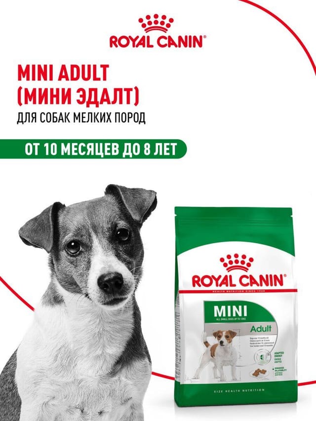 Сухой корм для собак Royal Canin Mini Adult для мелких пород, 2 кг