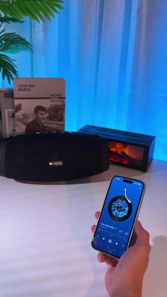 Портативная колонка W-KING X10 70 Вт IPX6 