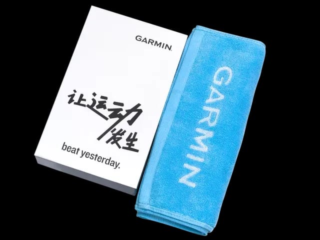 Спортивные часы Garmin Forerunner 255 