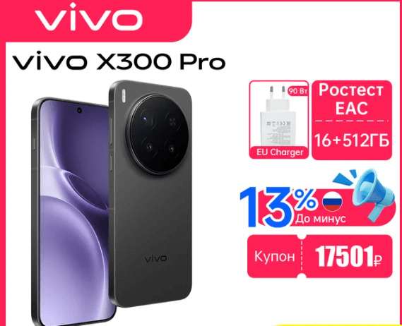 vivo X300